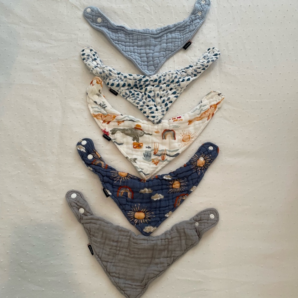 Bebe au Lait lot of 5 bibs